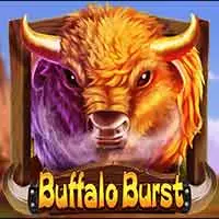 Buffalo Burst